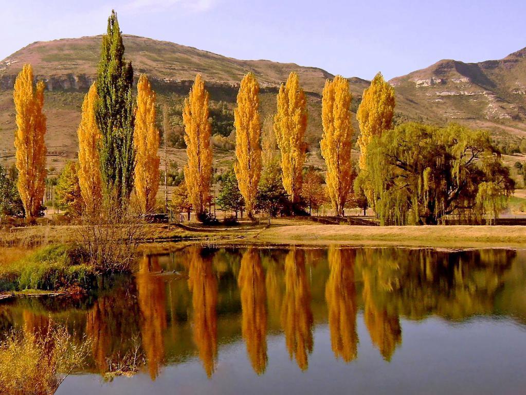 Lake Clarens Guest House Quarto foto